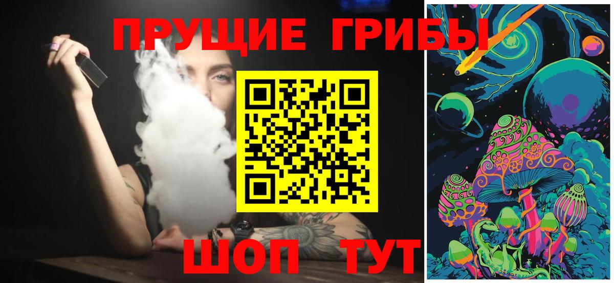 Псилоцибиновые грибы Psilocybine cubensis  Вход с VPN  Улан-Удэ 
