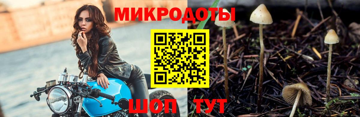 Псилоцибиновые грибы мицелий Улан-Удэ